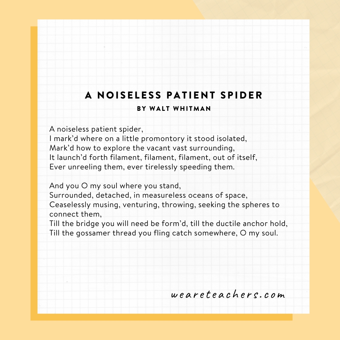 A Noiseless Patient Spider by Walt Whitman
