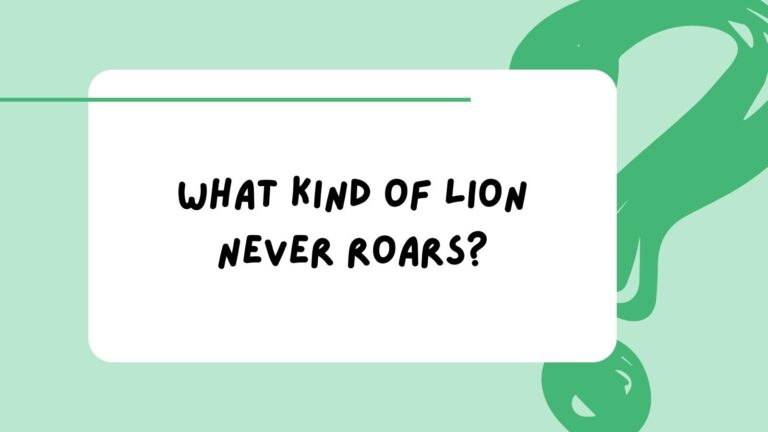Funny Riddles for Students