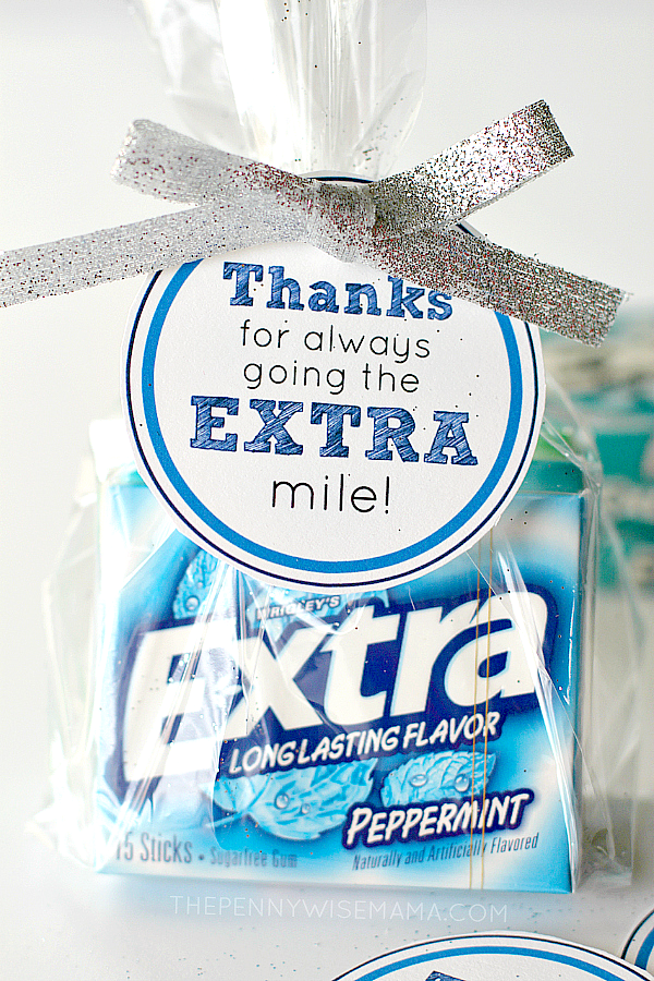 Extra gum gift wrapped