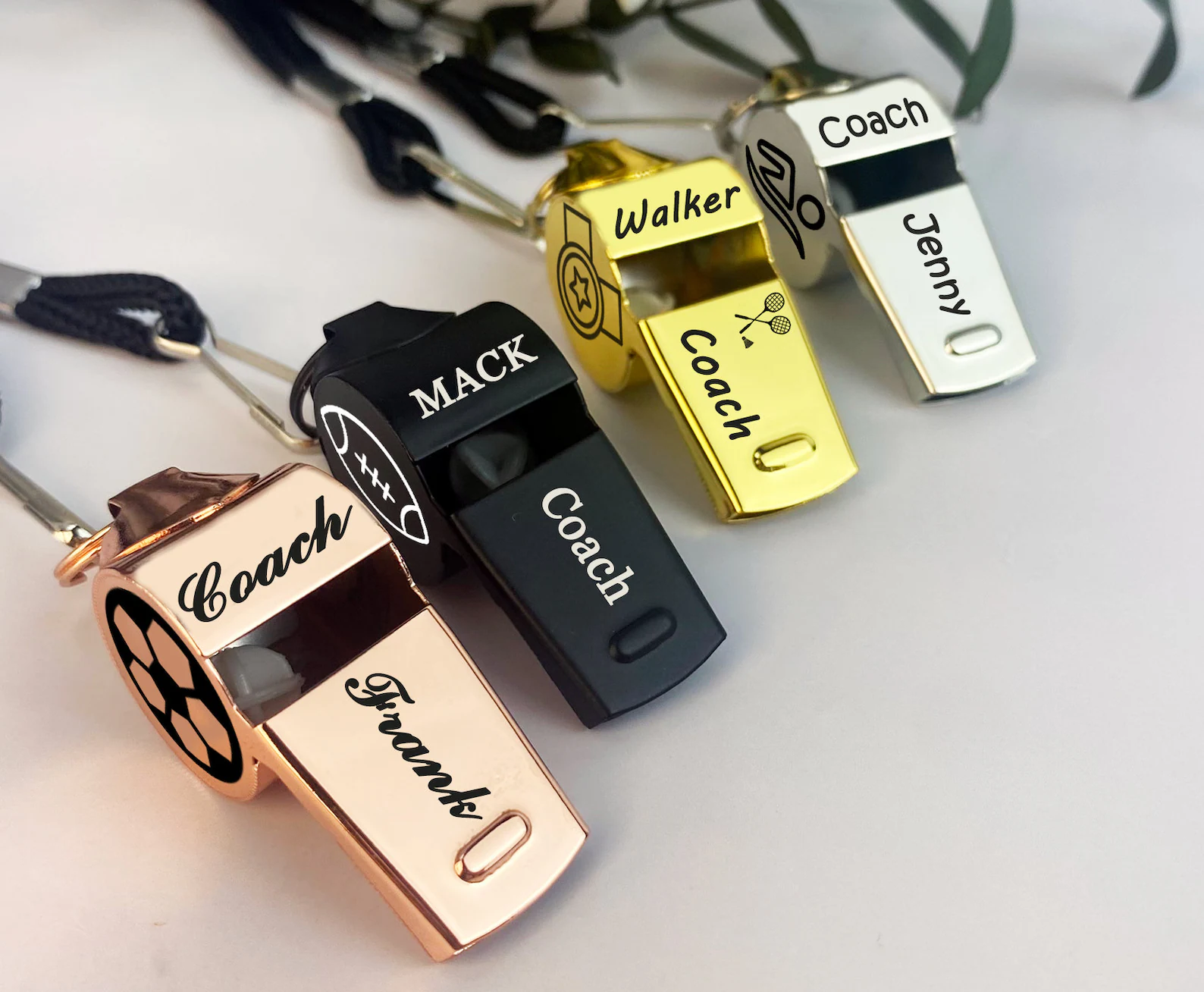 Teacher whistle